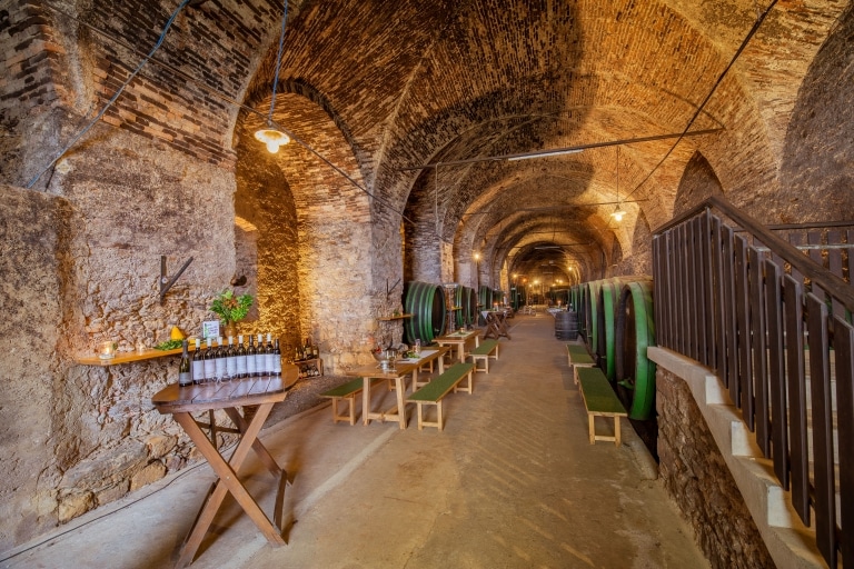 The Episcopal wine cellar with old wine barrels, wine bottles and table sets